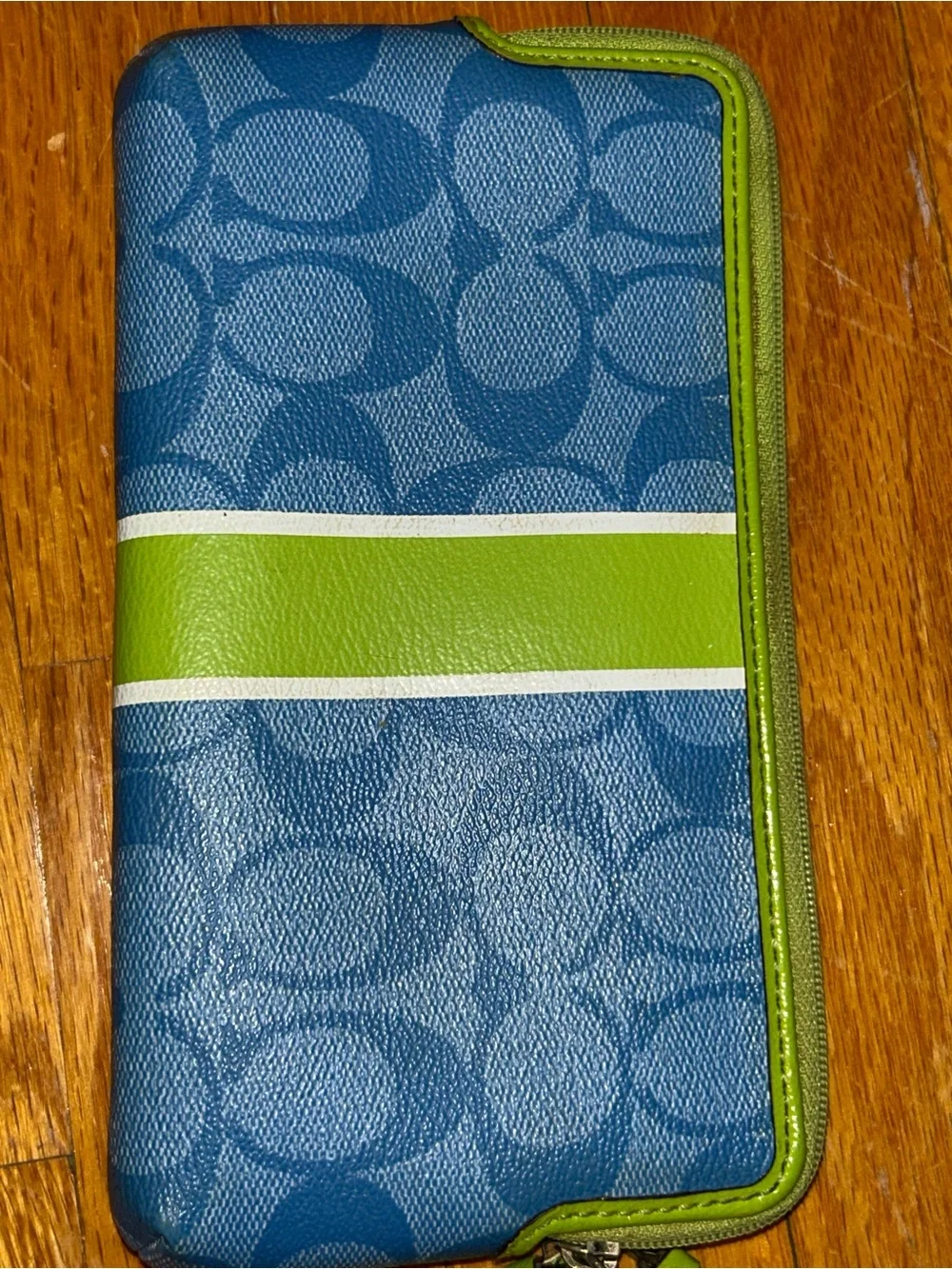 ✨REHAB✨Beautiful Coach writlets/wallets